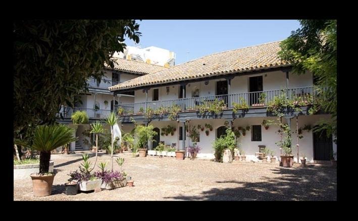 Apartamento En Monumento Historico Nacional Corral Del Conde-Duque De Olivares 세비야 외부 사진