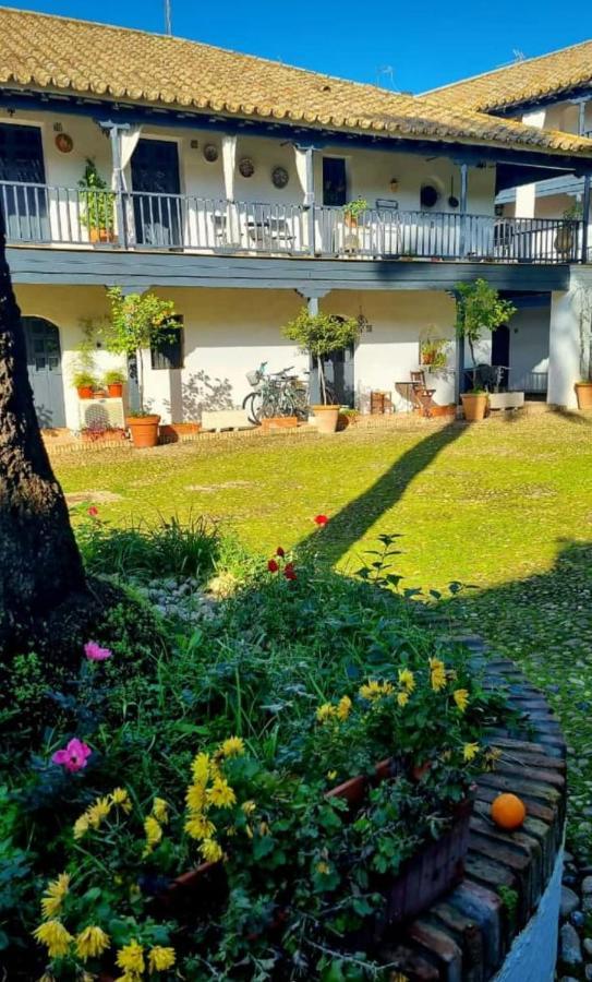 Apartamento En Monumento Historico Nacional Corral Del Conde-Duque De Olivares 세비야 외부 사진